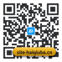 苹果访客专属 二维码